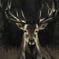 Young Buck Giant Art 54x54 Wall Art