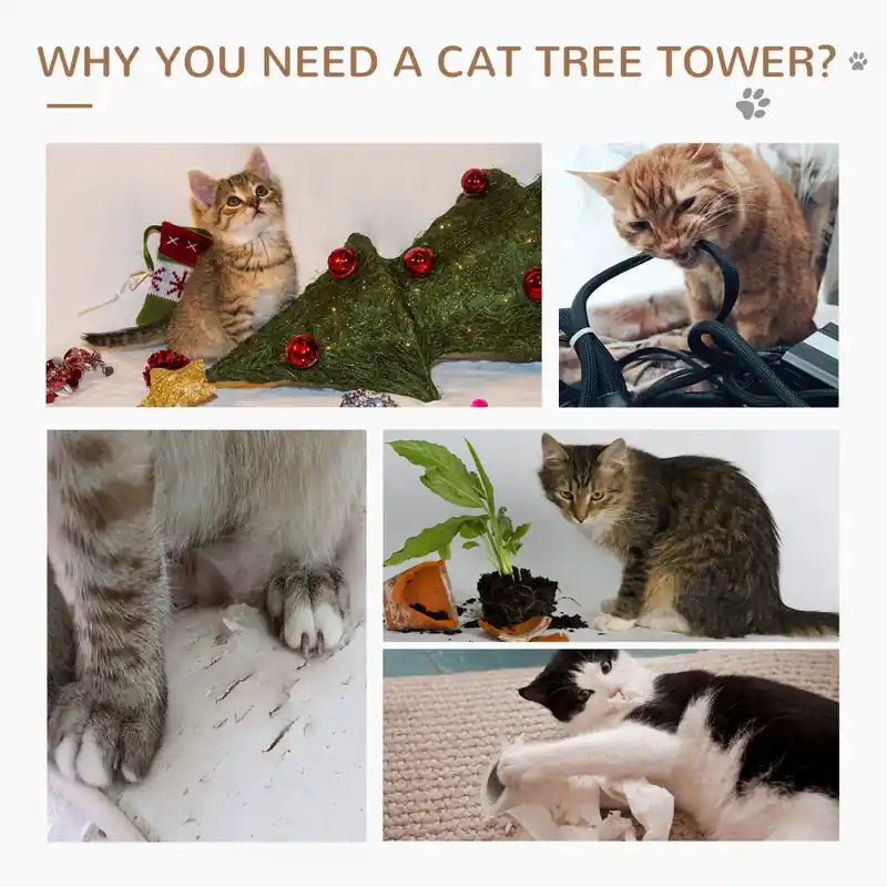49 Arbre à chat avec hamac, tour à condo pour chat avec poteau à griffer pour chats d'intérieur